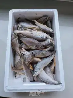 Make The yellowfish step 0