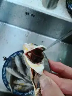 Make Dried-out yellowfish step 0