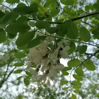 Make Steam flowers step 0