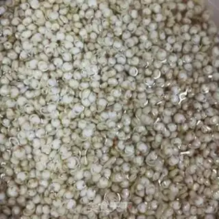 Make quinoa porridge step 2