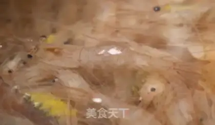 Make Shrimp step 0