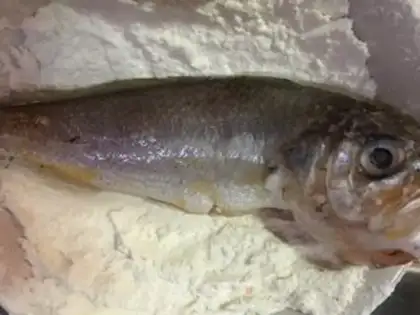 Make Fowlfish step 1