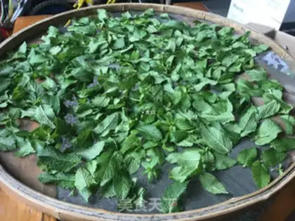 Make Homemade mint cream step 0