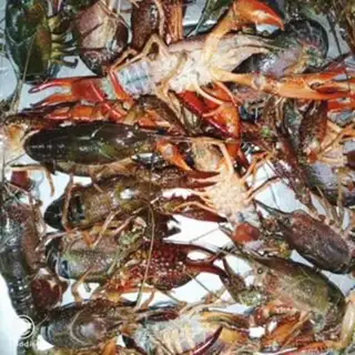 Make Golden garlic lobster step 0