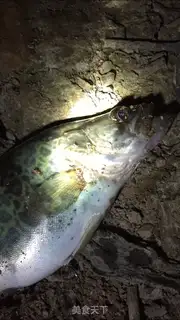 Make Red-burned mackerel step 0