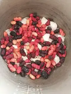 Make Sancho jam step 0