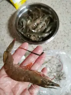 Make A garlic fan with a shrimp back step 0