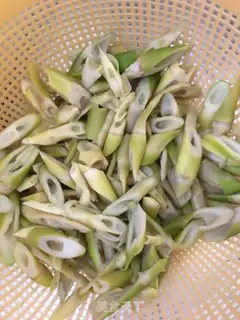 Make Meat and bamboo step 0