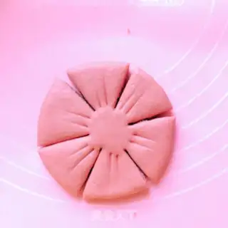 Make Sakura step 9