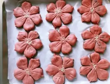 Make Sakura step 11