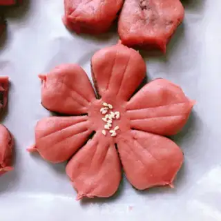 Make Sakura step 12