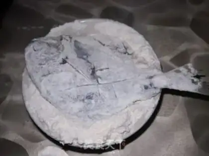 Make Blow up the crystalfish step 2