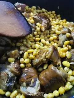 Make Soybeans, pig hoof step 2
