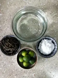 Make A green lemon honey tea freezer step 0