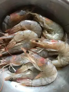 Make Shrimp pepper step 0