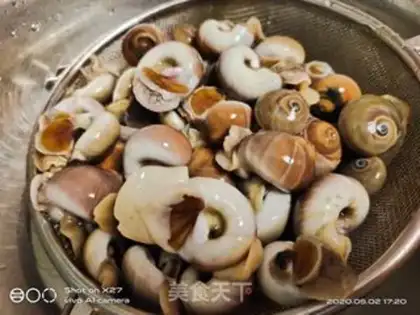 Make Snails step 1