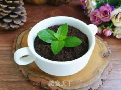 Make The yogurt plant step 7