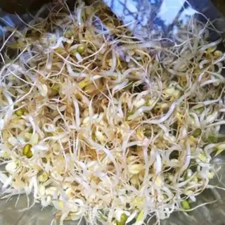 Make The green bean sprouts step 2