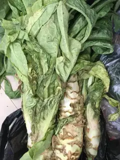 Make Spicy silk step 0