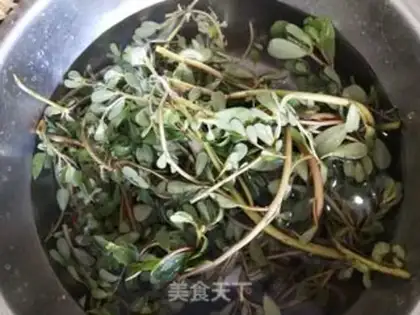 Make Horse tooth juice step 2