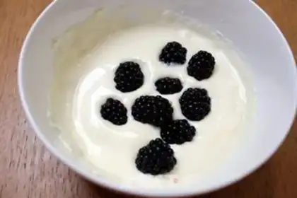Make Yogurt cheeseberry ice cream step 3