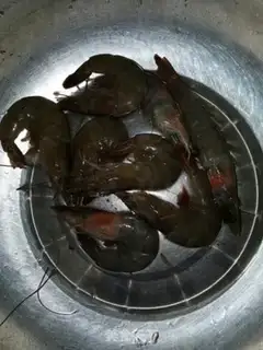 Make Shrimp tofu step 2