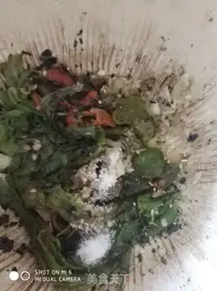 Make Scorch step 5