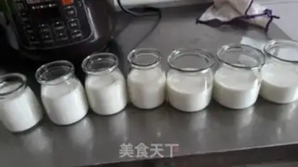 Make Homemade yogurt step 7