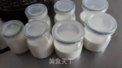 Make Homemade yogurt step 8