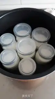 Make Homemade yogurt step 9
