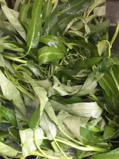 Make Garlic cabbage step 2