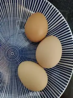 Make radish and fried eggs step 1