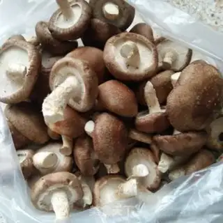 Make Beacon mushroom pork dumplings step 1