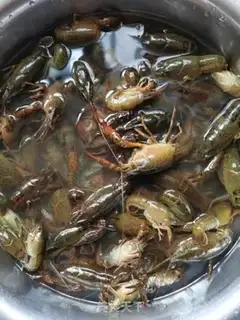 Make ♪ Golden garlic lobster ♪ step 0