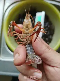 Make ♪ Golden garlic lobster ♪ step 1
