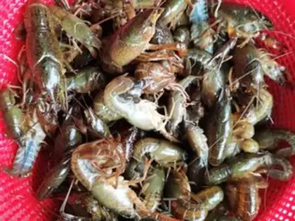 Make ♪ Golden garlic lobster ♪ step 2