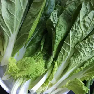 Make Pelican cabbage step 0