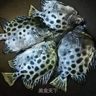 Make Vacuated gold drumfish step 2