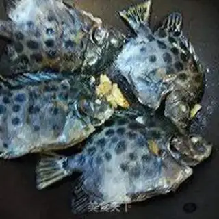 Make Vacuated gold drumfish step 3