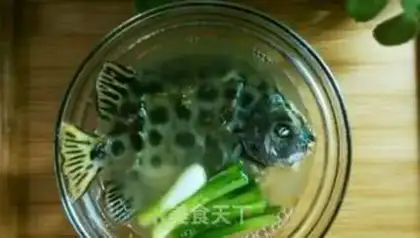 Make Vacuated gold drumfish step 7