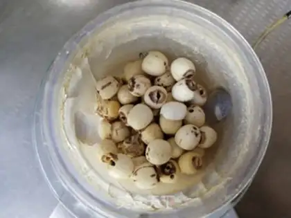 Make Milk Lotus step 0