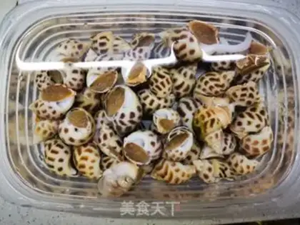 Make The white snail step 0