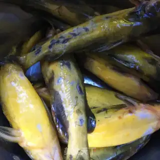 Make Spicy tofu step 0