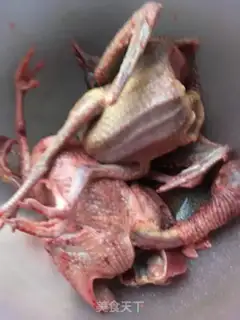 Make The vermin vermin dove step 0