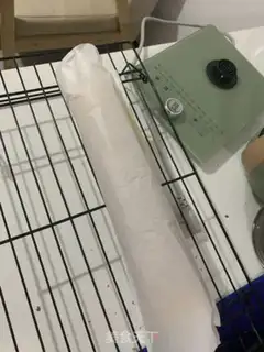 Make The original cake roll step 9