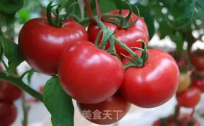 Make Tomato juice step 0