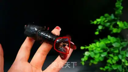 Make Crawfish step 4