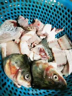 Make Sourfish step 2