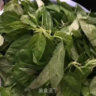 Make Mango jelly step 7