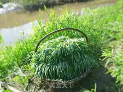 Make ♪ Cool willows ♪ step 0